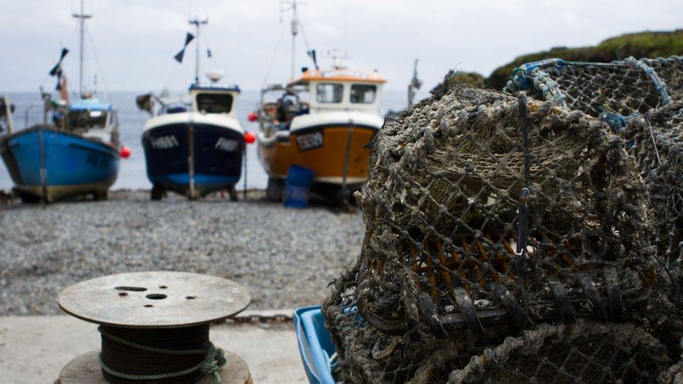 Fishing boats