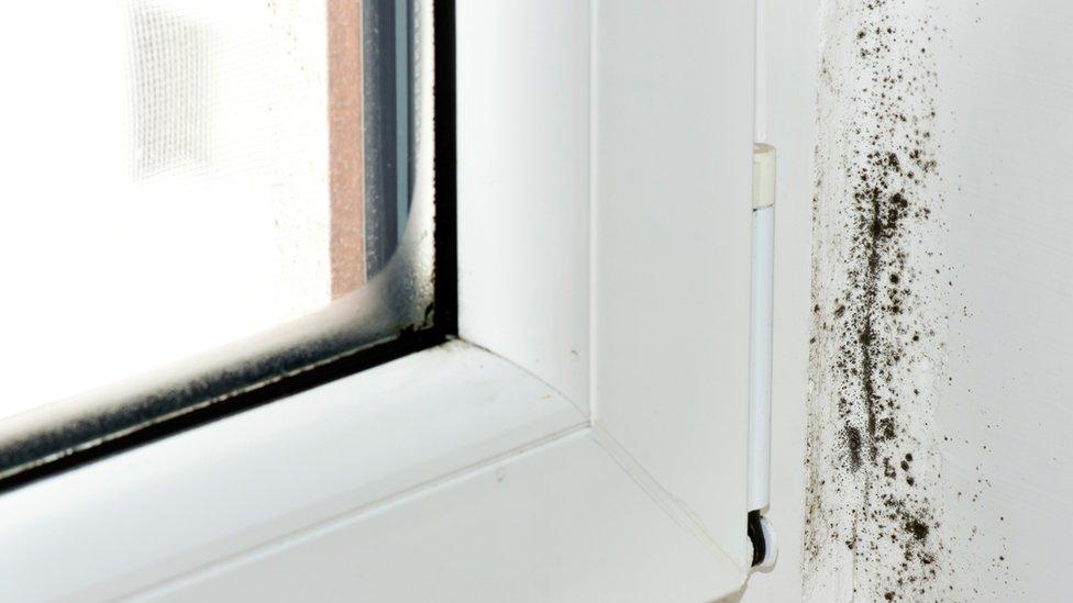 Mould near window