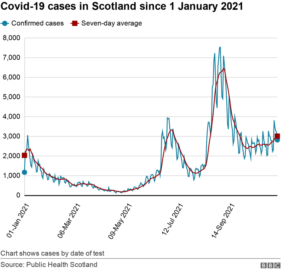 Cases 16 November