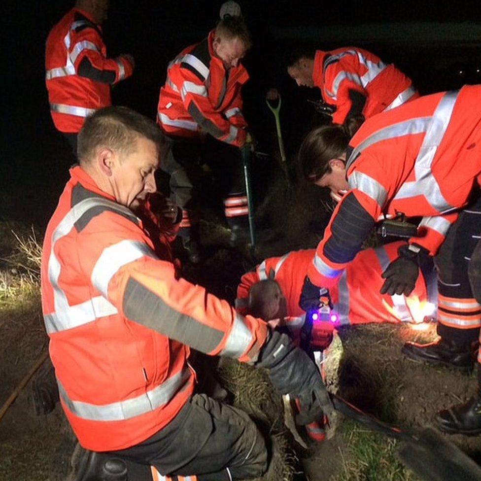 Fire crews trying to rescue dog