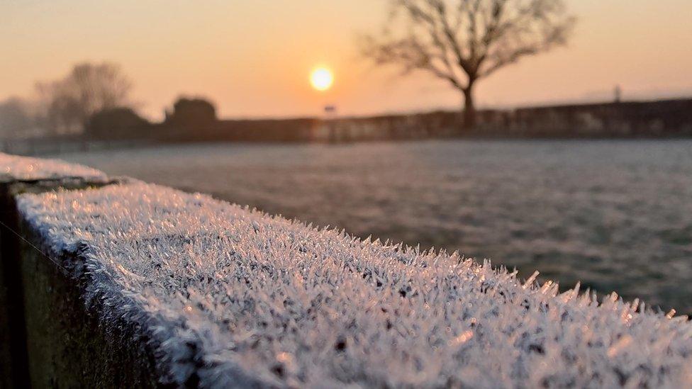 Frost in Sutton Bonington