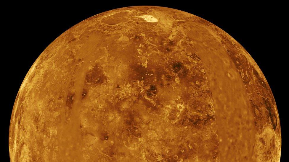 Venus could have once been much like earth.