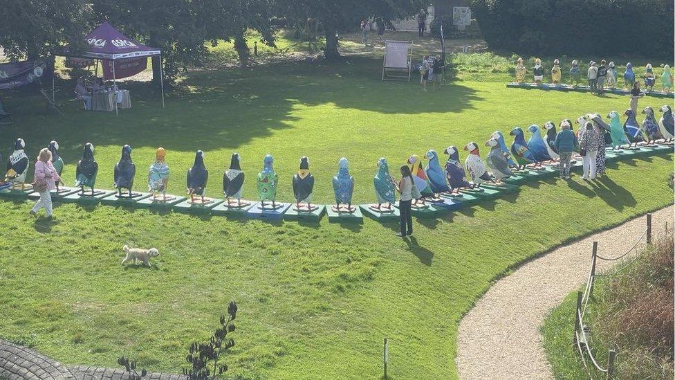 The puffin sculptures all lined up ready for auction