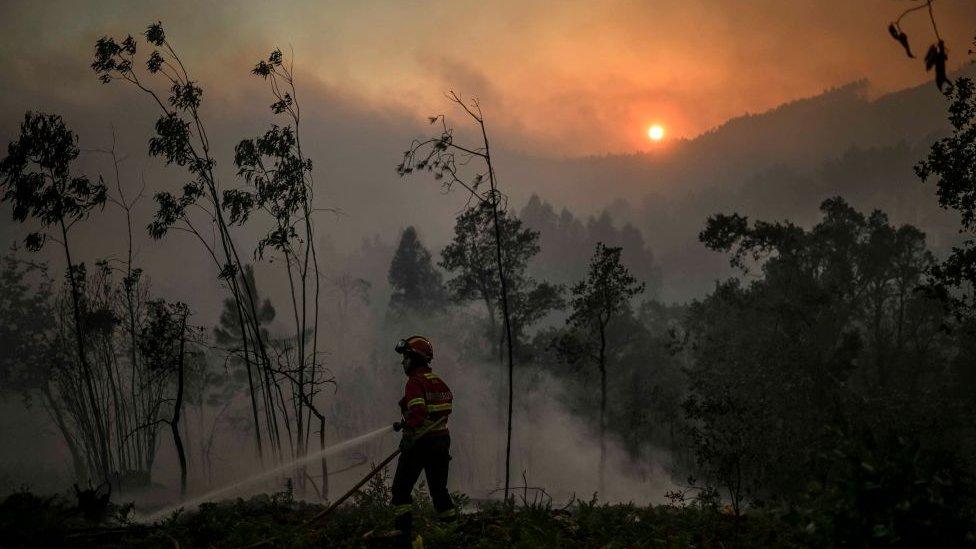 Firefighter and wildfire smoke