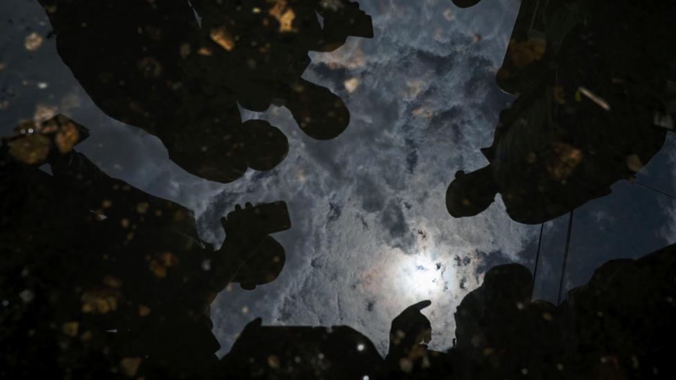 People use a puddle of water to look at a annular solar eclipse in the sky of in Dar es Salaam on 1 September 2016