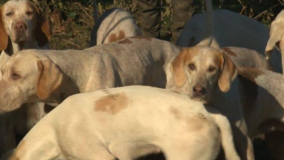 Meynell and South Staffordshire Hunt