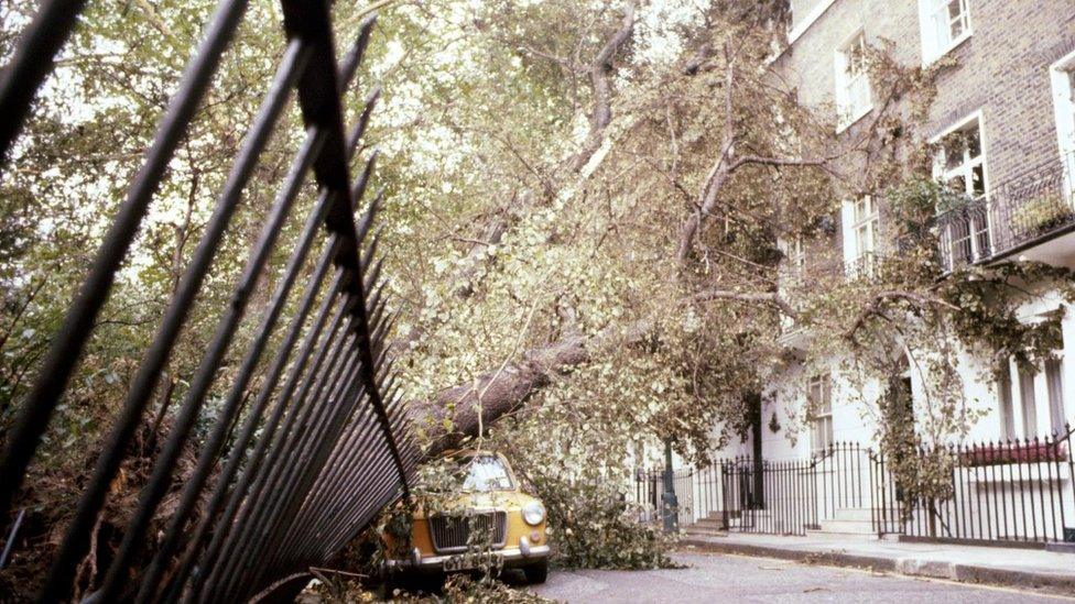 Fence and car crushed by trees in London