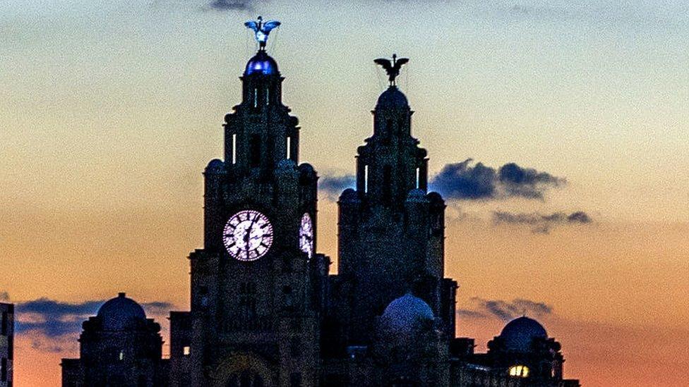 liver Birds at sunset