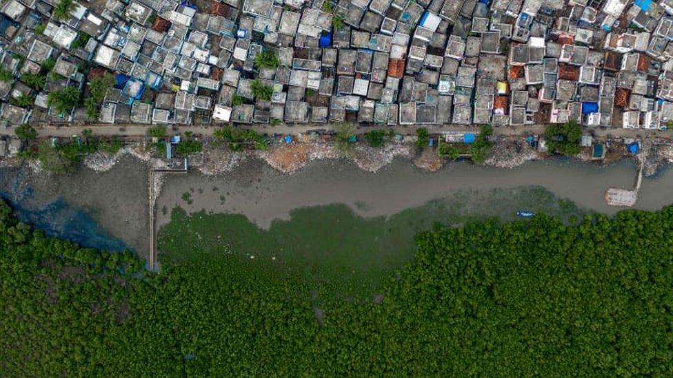 Mangrove swamps provide a buffer between Kakinada city and the sea in Andhra Pradesh, India, as shot by Indian photographer Rakesh Pulapa.