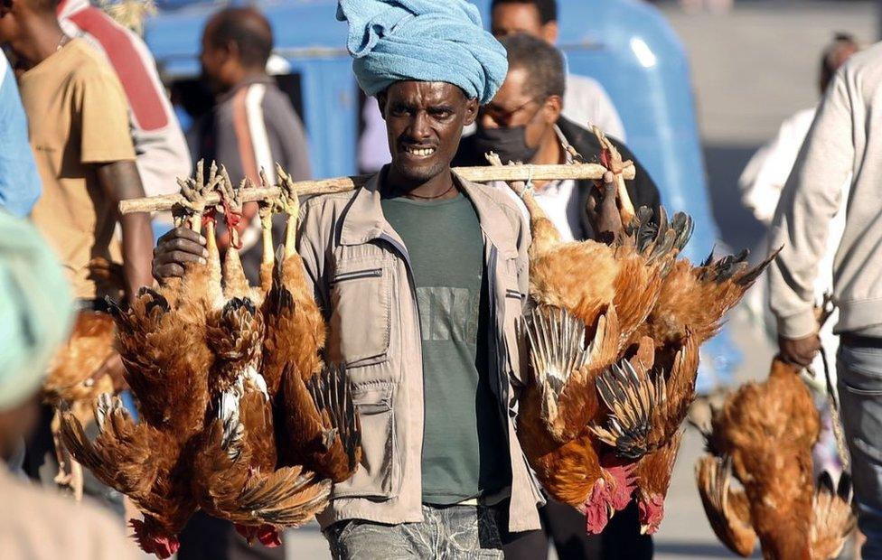 A man carries chickens at Kedamay Weyane livestock market in Mekelle city of the Tigray region, in northern Ethiopia on March 16, 2021 as life returns back to normal after the city was captured with an operation towards Tigray People's Liberation Front (TPLF).