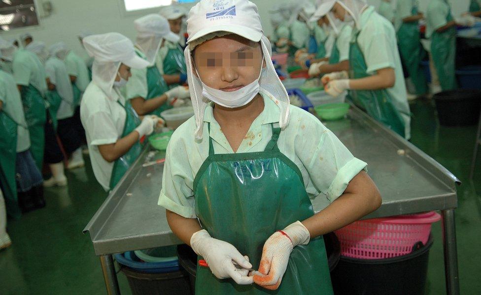 Sun, 15, a Burmese migrant girl, working in a Thai shrimp peeling plant.