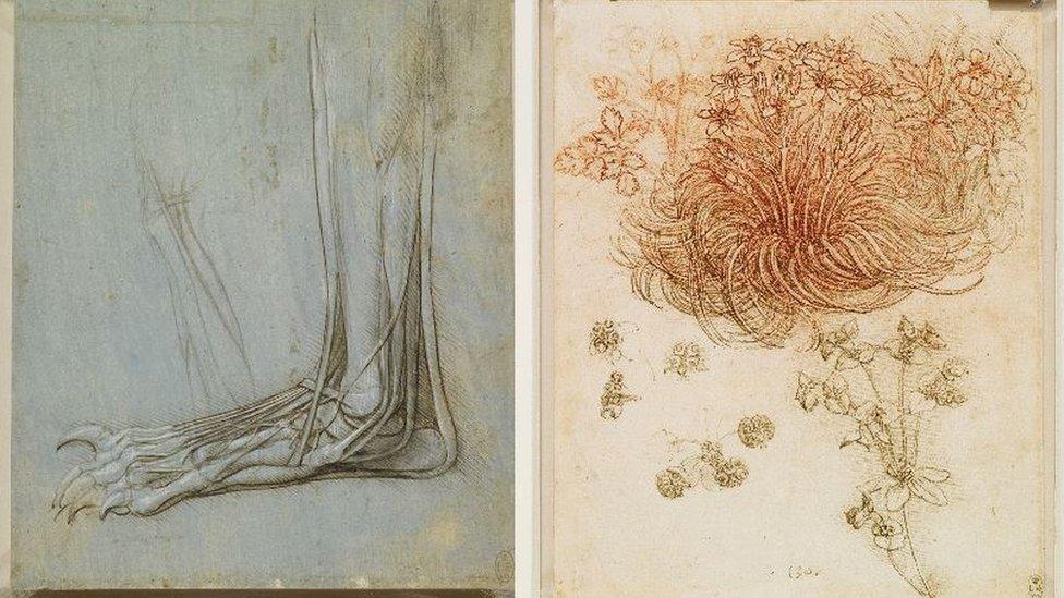 Leonardo da Vinci drawings