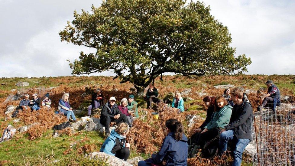 Volunteers sat at Wistman's Wood