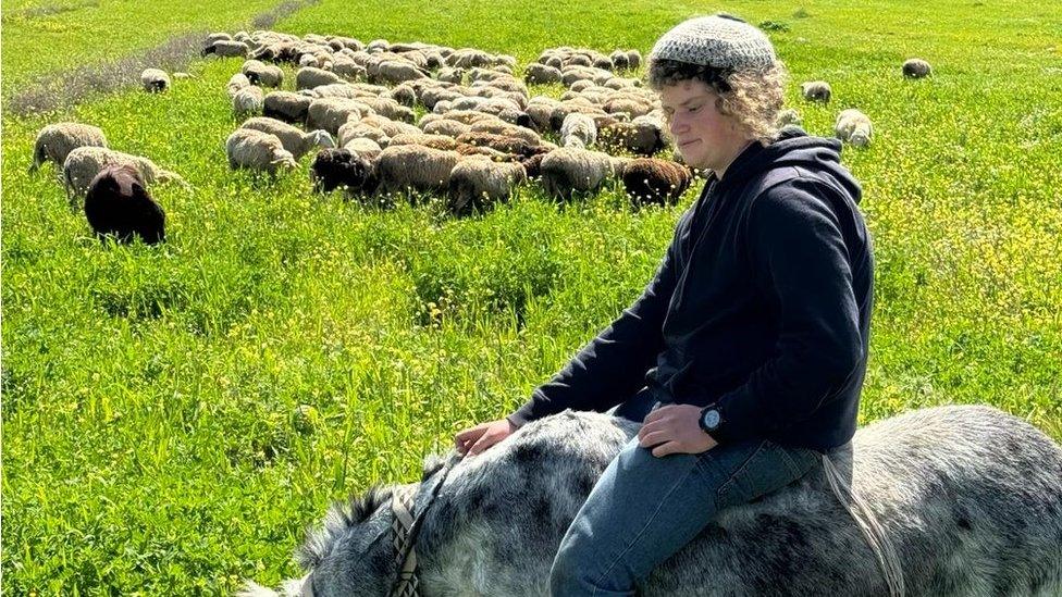 March 2024 photo showing Binyamin Ahimeir, 14, tending sheep near the settler outpost of Malachei Shalom