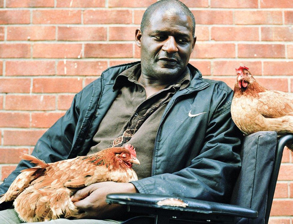 Man in wheelchair with chickens