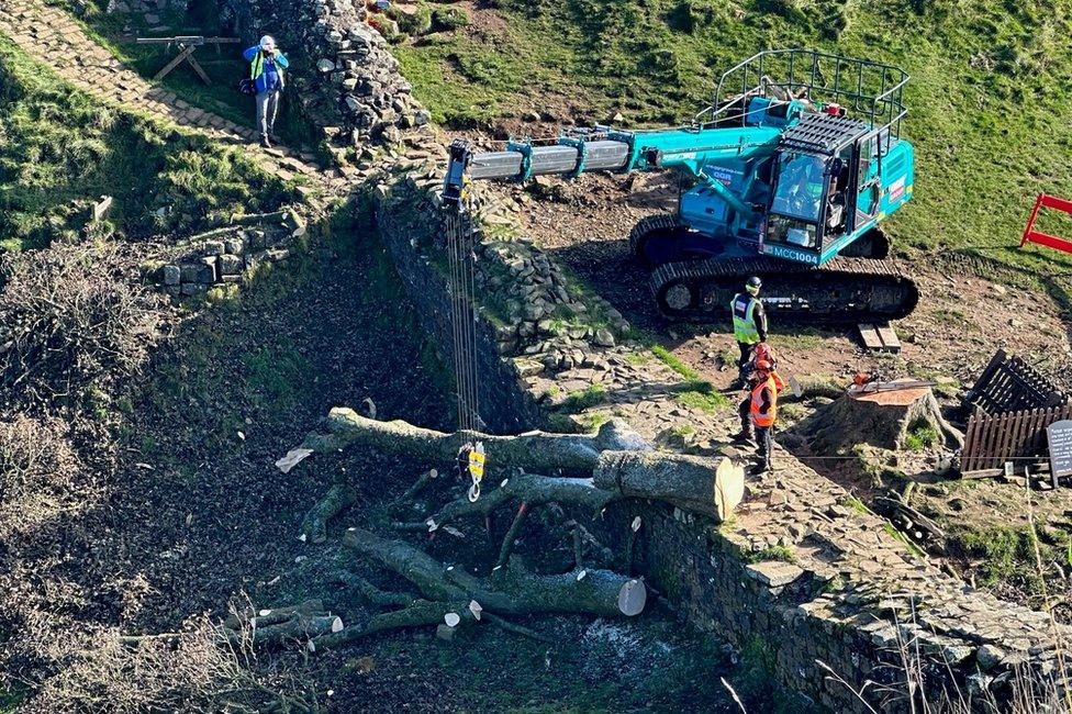 A crane lifting the tree next to Hadrian's Wall