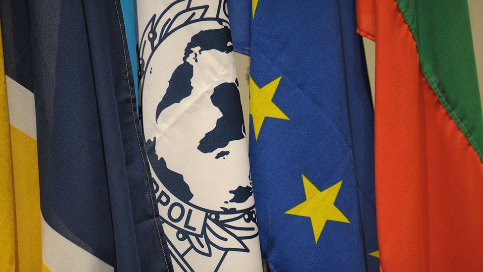 A selection of EU flags alongside interpol