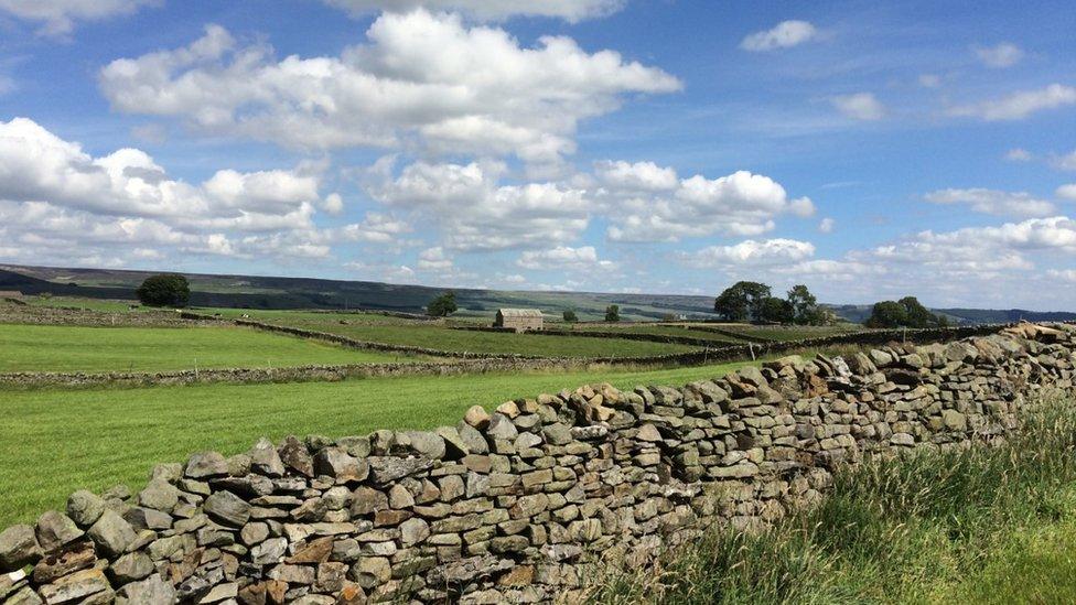 Swaledale land farmed by David Dinsdale