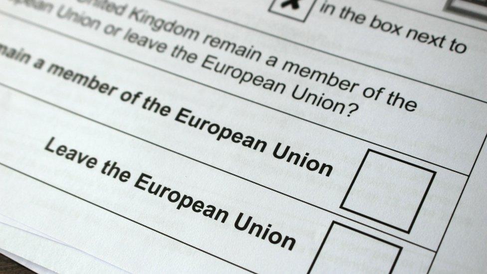 Referendum ballot paper