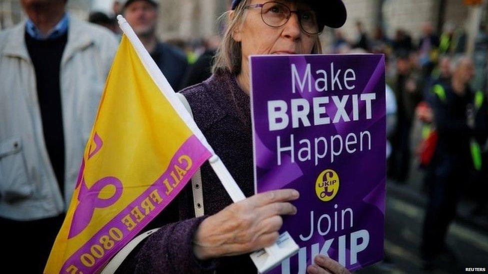 UKIP supporter during pro-Brexit march in London