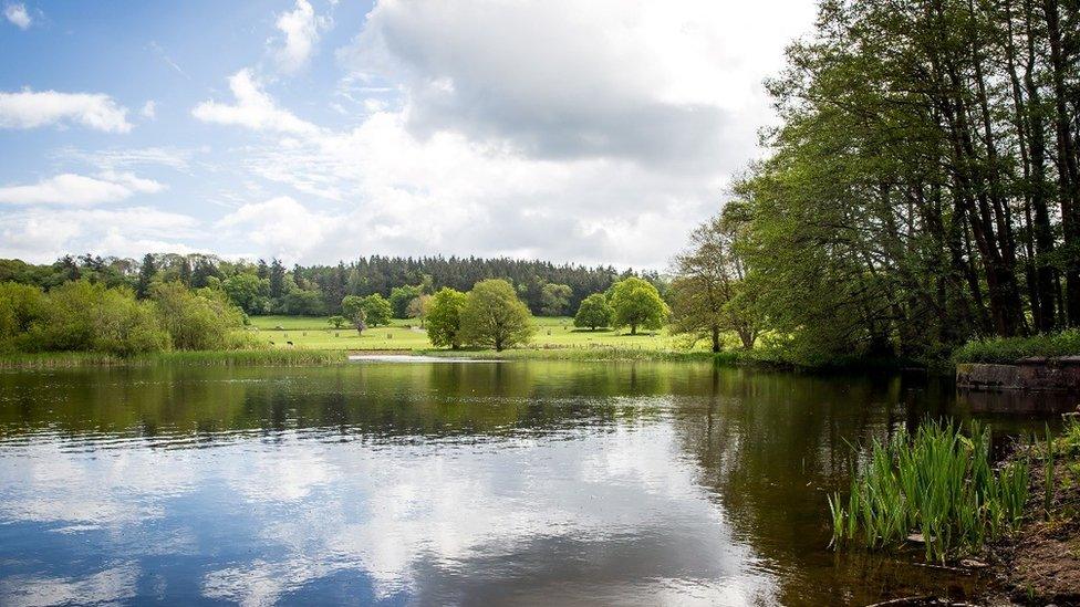 The pool at Berrington Hall