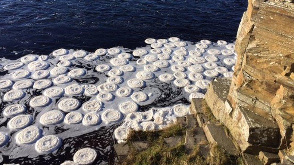 Ice pancakes on Thurso River