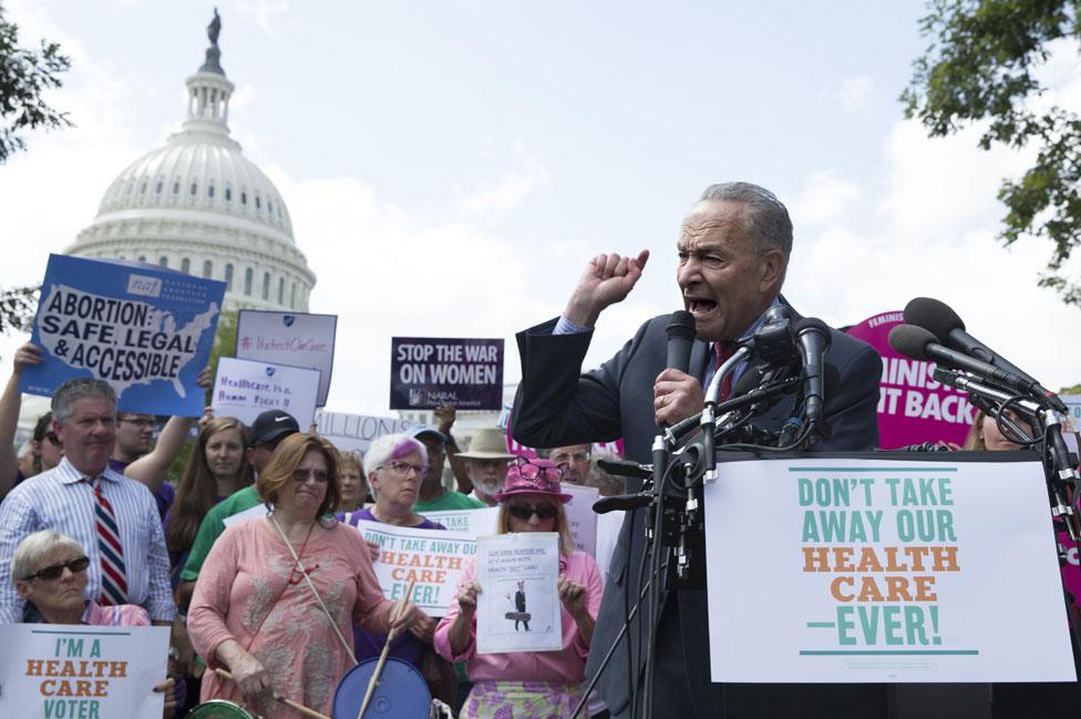 Chuck Schumer with protesters in Washington