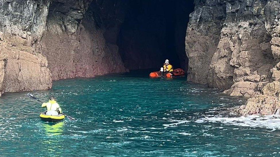 Lizard lifeboat