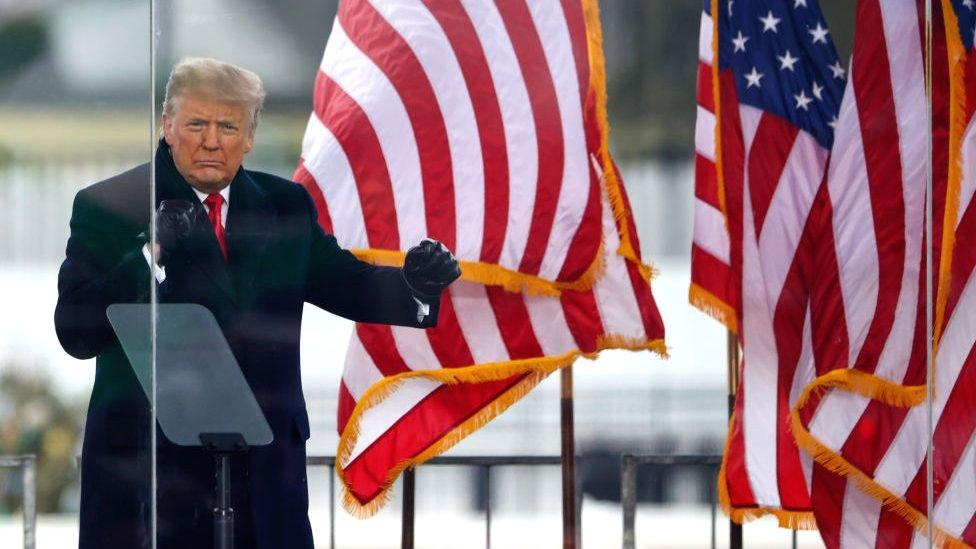 Donald Trump at the stop the steal march