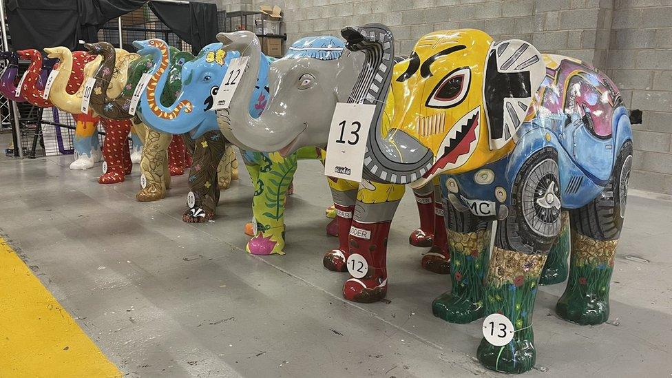 Elephants on display