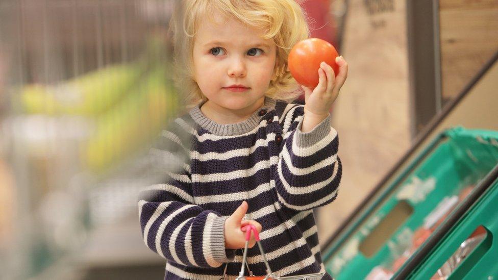 toddler picking tomato