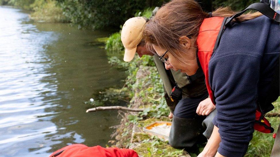 The team gathering crayfish