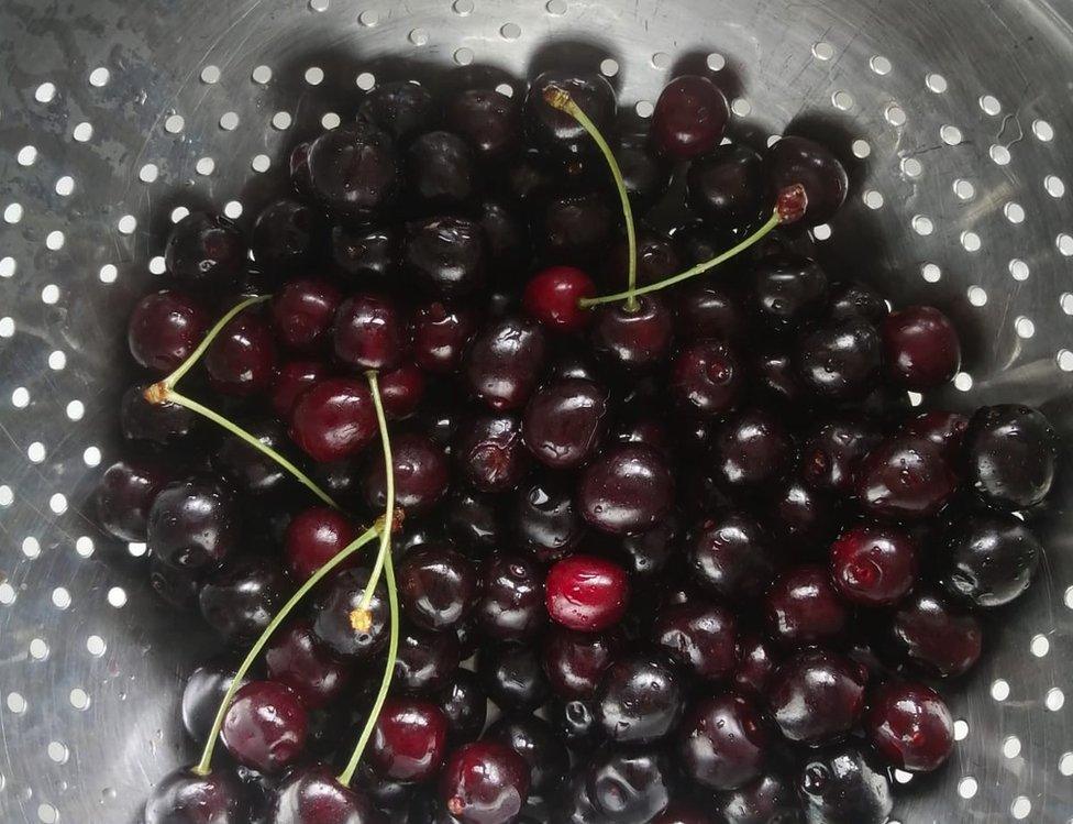 Foraged cherries which were made into jam