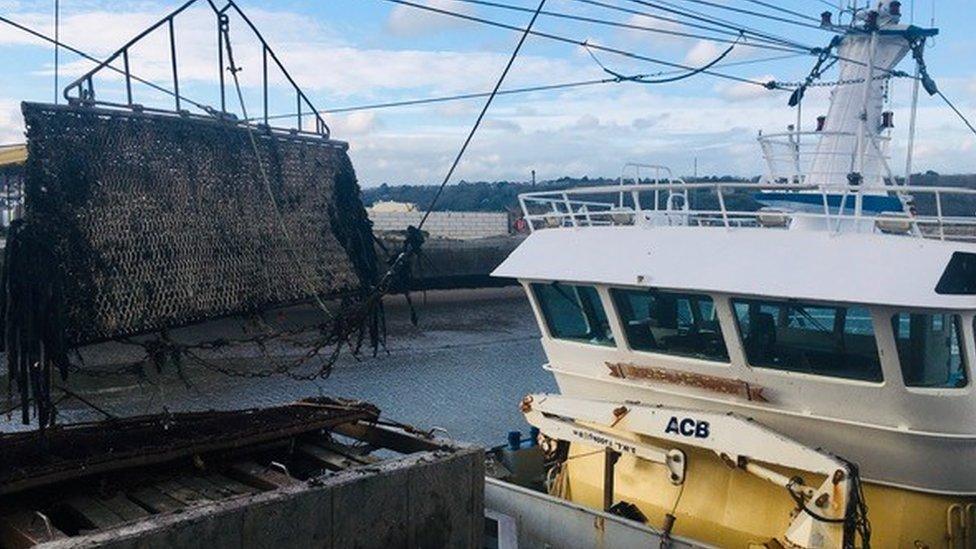 mussel farming on the Menai Strait