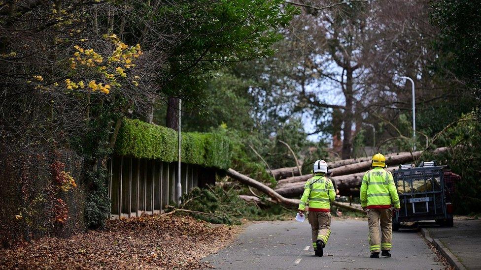 firefighters attending a tree that has fallen across a road in Birkenhead