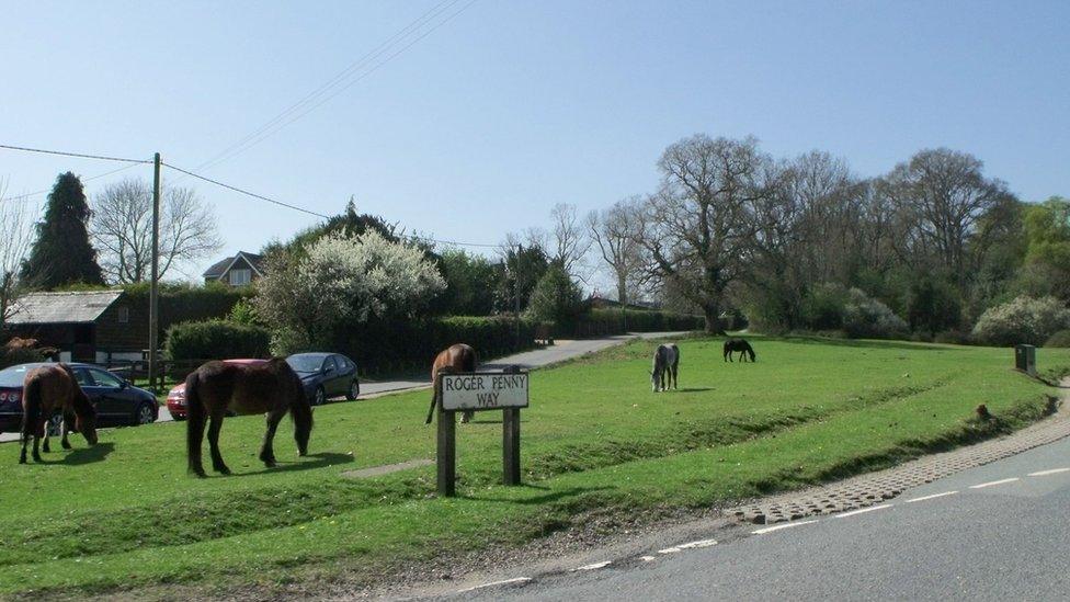 Roger Penny Way