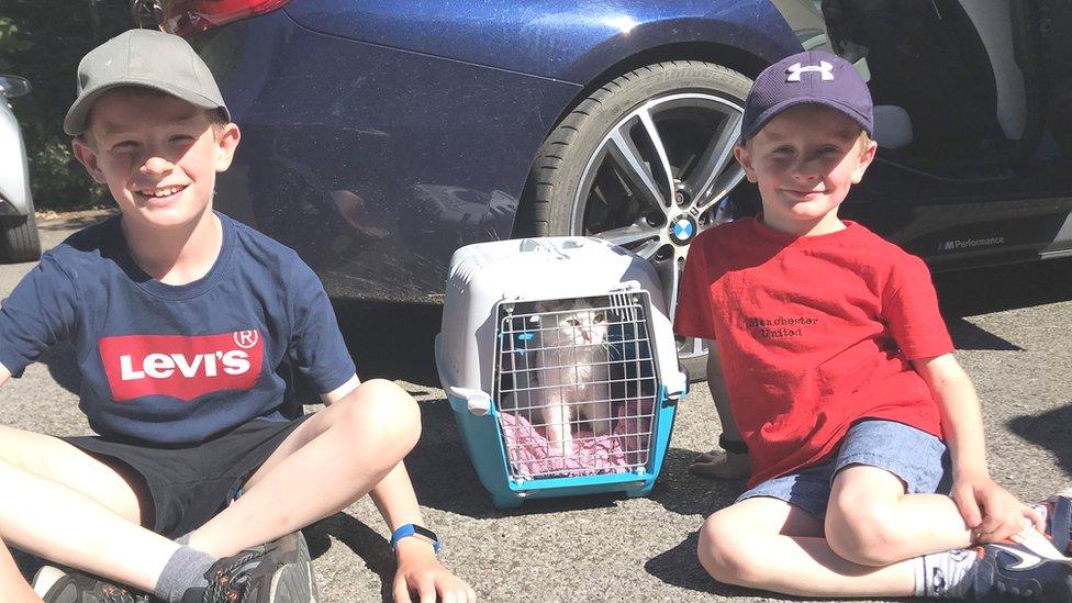 Image of two young boys with a kitten in a carry case