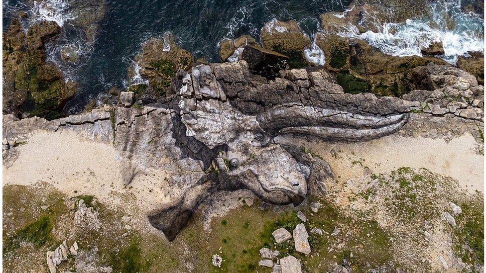 David Popa's representation of a Triceratops on the UK's Jurassic Coast