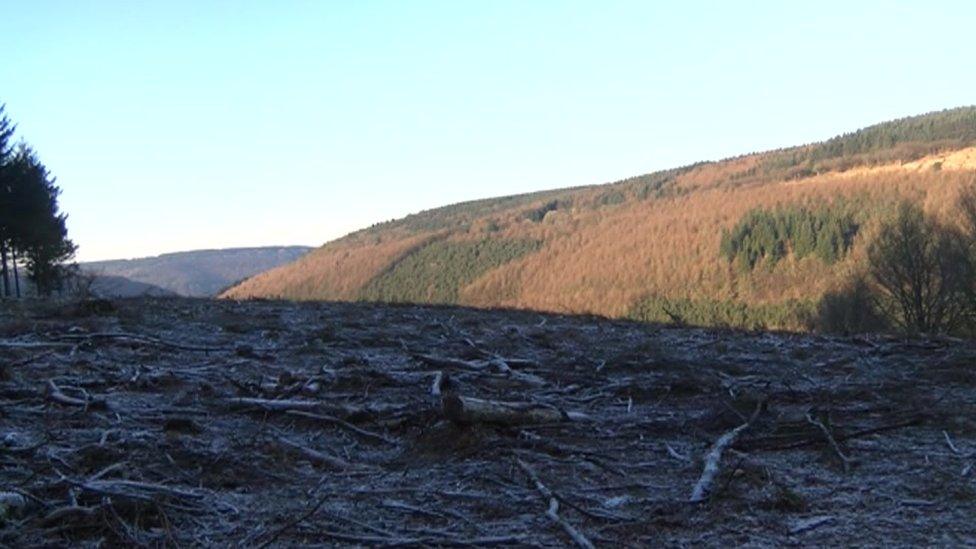 Cwmcarn