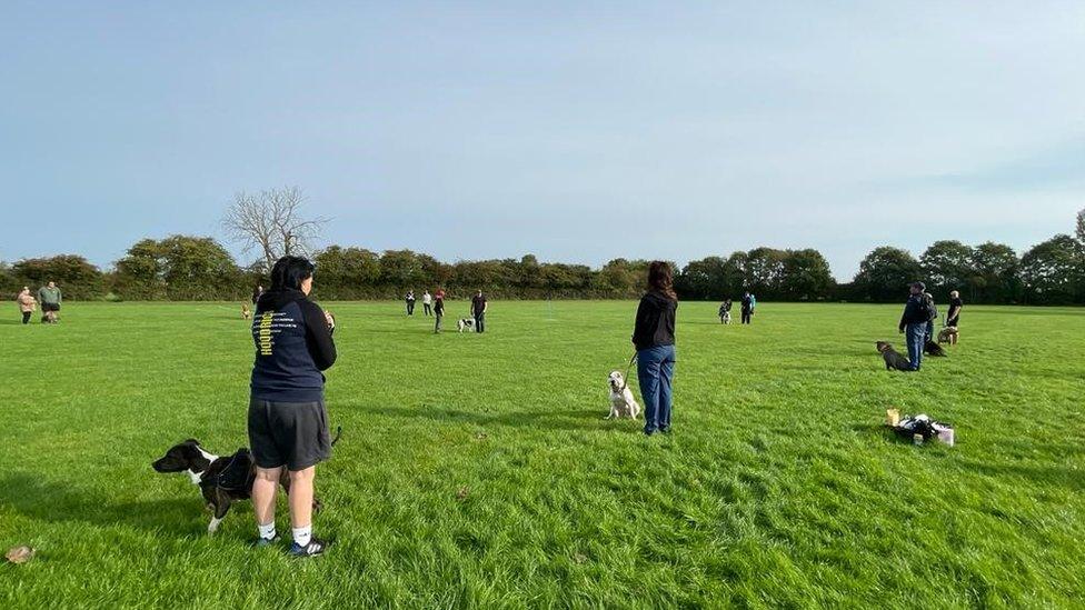 Dog training event in Hull