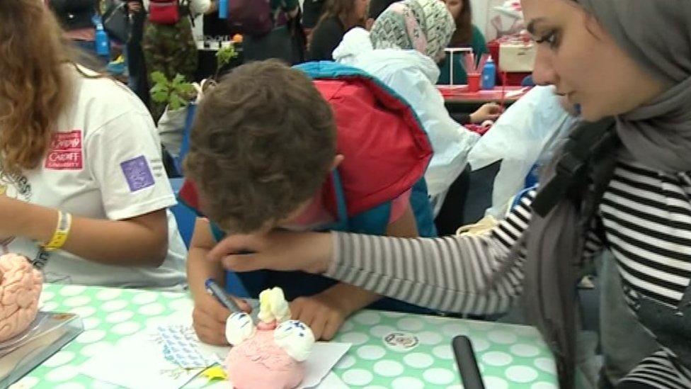 ffoaduriaid yn Steddfod