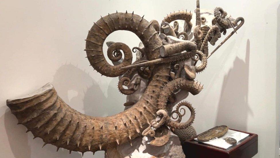 A cluster of fossilised uncoiled ammonites