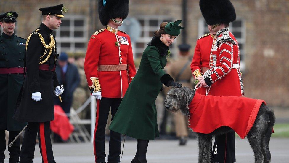 Kate pets Domhnall the Irish wolfhound