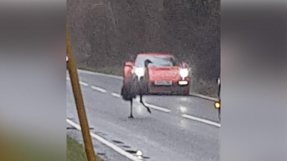 Emu on A32