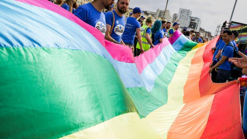 A flag being held at Brighton Pride