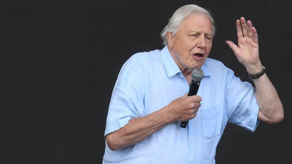 Sir David Attenborough