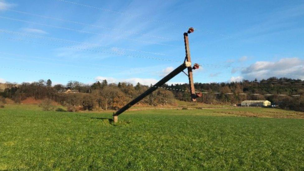 A damaged power line on Craigash Farm, Milngavie