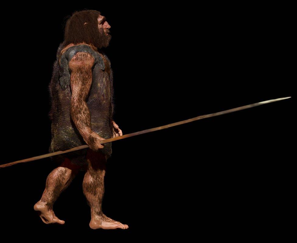 Neanderthal image