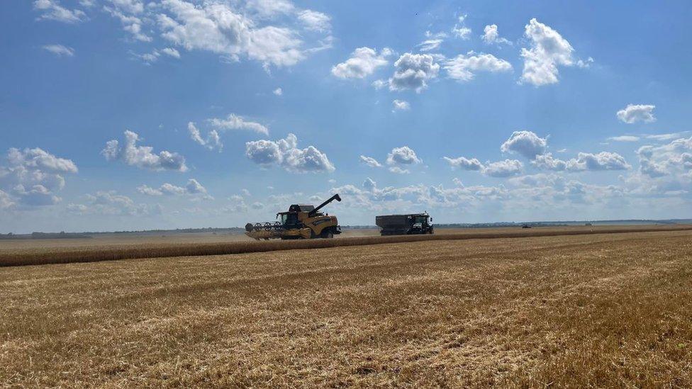 Combine harvester at work collecting grain in Poltava