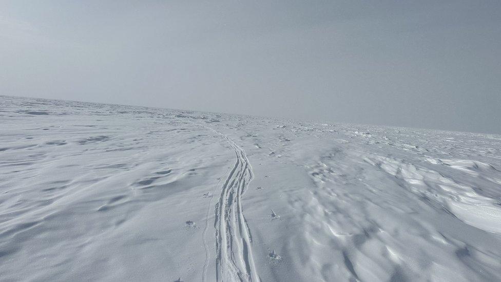Expedition from Hercules Inlet on the Ronne Ice Shelf